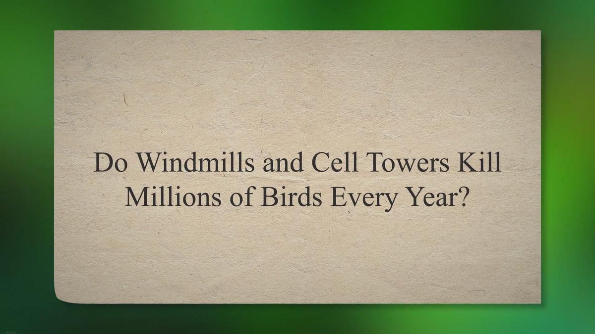 Do Windmills and Cell Towers Kill Millions of Birds Every Year?
