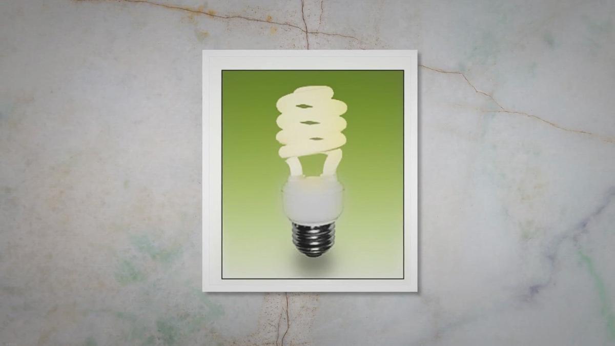 Compact Fluorescent Light Bulb Description and Advantages